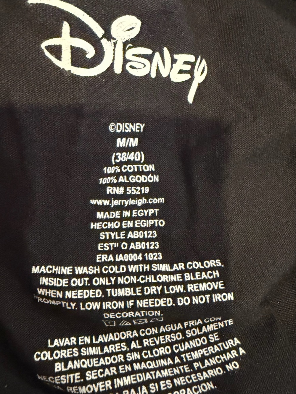 Disney Black 2024 Florida Character Graphic Tee - Picture 3 of 4